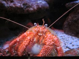 Visite de Célyne et Faf